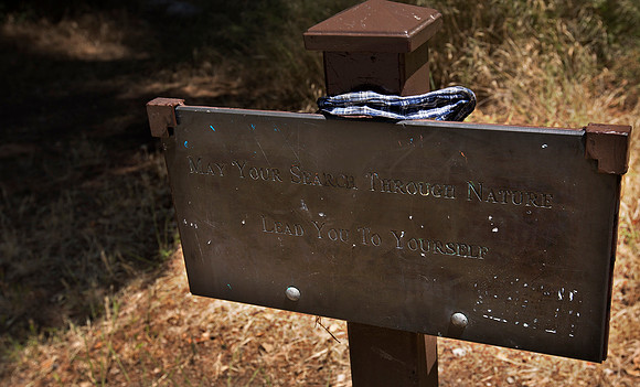 Angeles National Forest