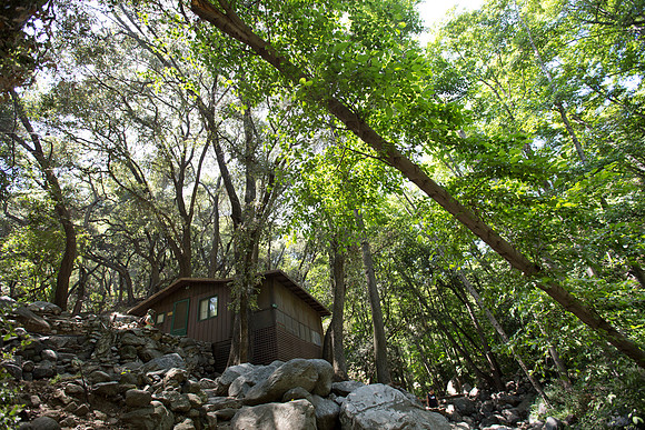 Angeles National Forest