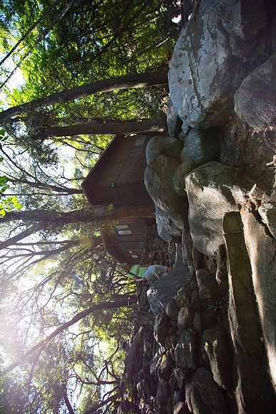 Angeles National Forest